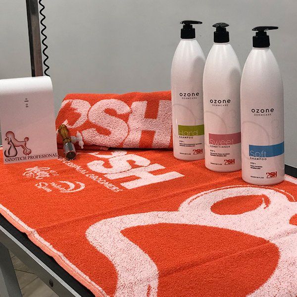 Curso avanzado en peluquería canina