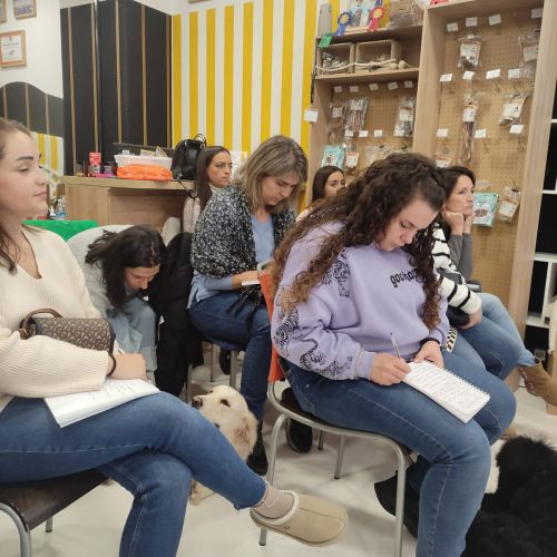 Formación en peluquería canina Destellos