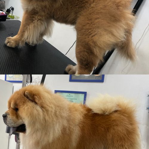 Recuperación 3