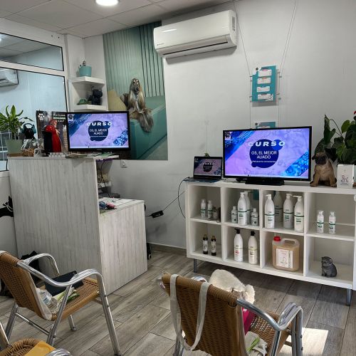 Aula de formación peluquería canina Alhaurín de la Torre