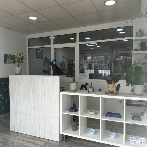 Mostrador peluquería canina Destellos