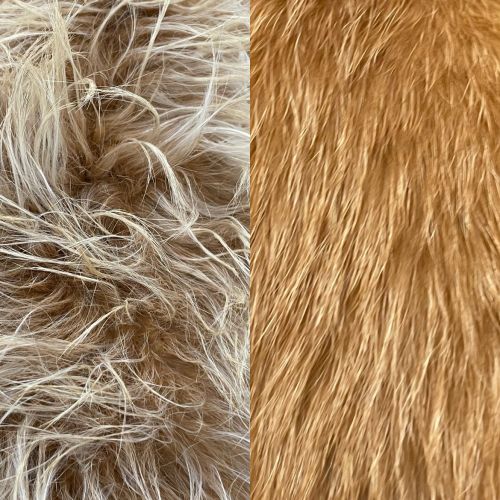 Recuperación manto canino