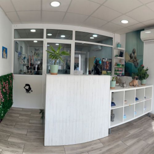 Acceso a peluquería