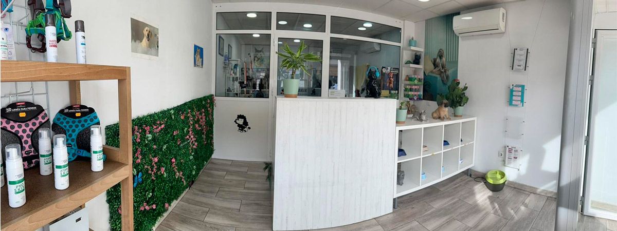 Interior peluquería canina Destellos